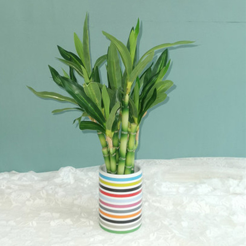 New 40cm Artificial Lucky Bamb - Outdoor Furniture Green ulasan dan harga